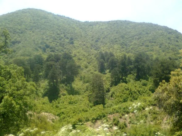 Απέναντι από τον άγιο Νικόλαο!!